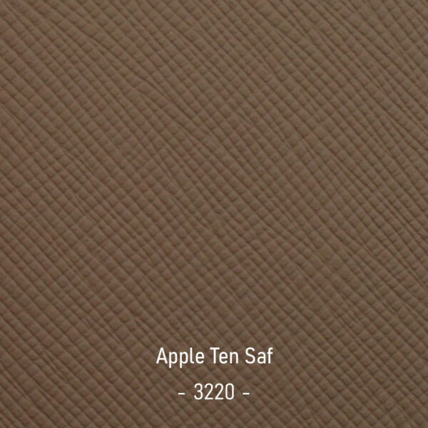 apple-ten-saf-3220