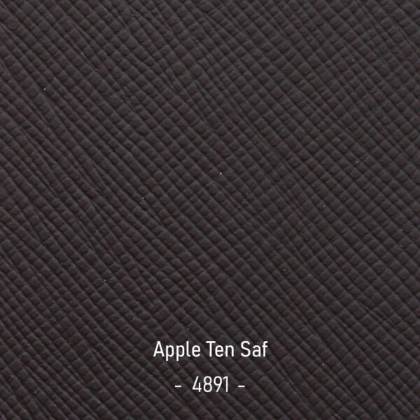 apple-ten-saf-4891