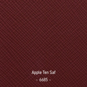 apple-ten-saf-6685