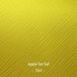 apple-ten-saf-7041
