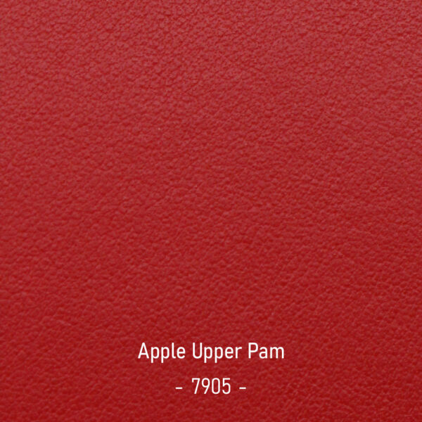 apple-upper-pam-7905