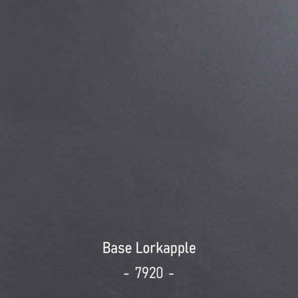 base-lorkapple-7920