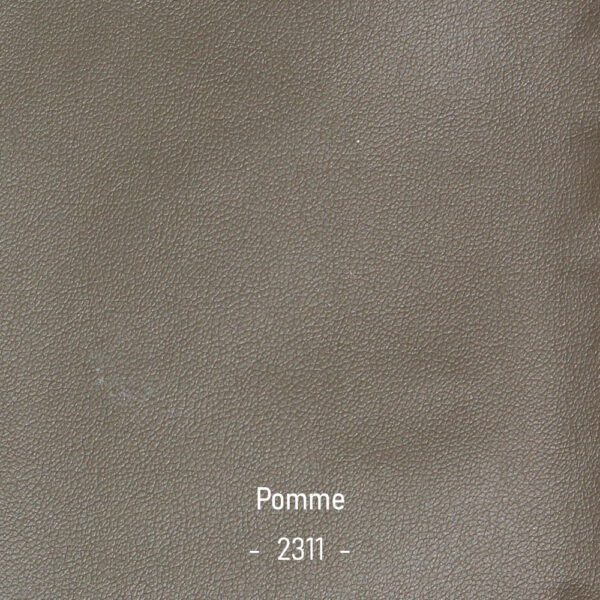 pomme-2311