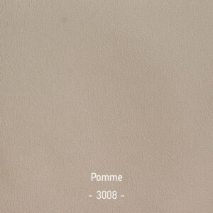pomme-3008
