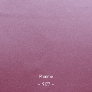 pomme-9177